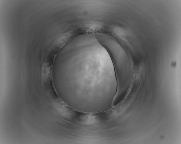 X0000096380276200802071520