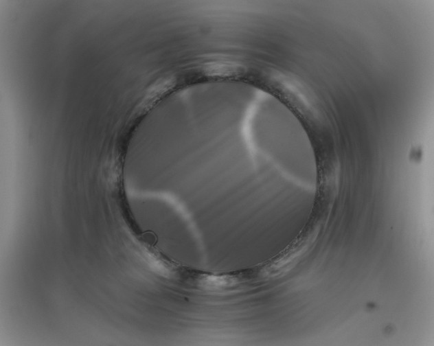 X0000096380277200802071520