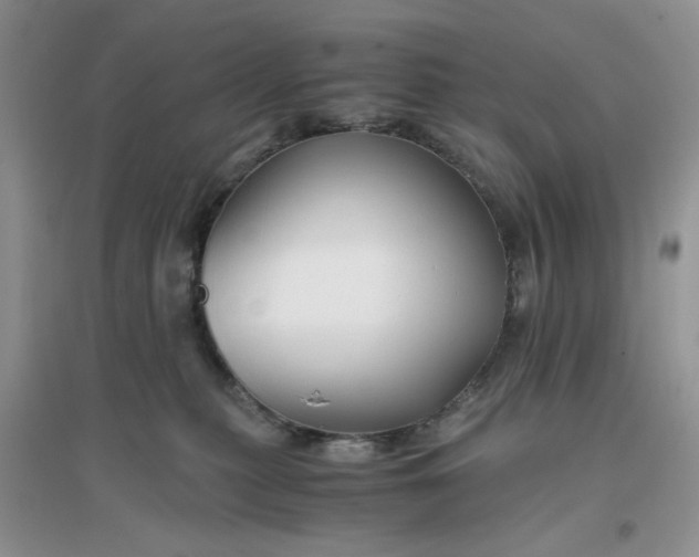 X0000096380279200802071520