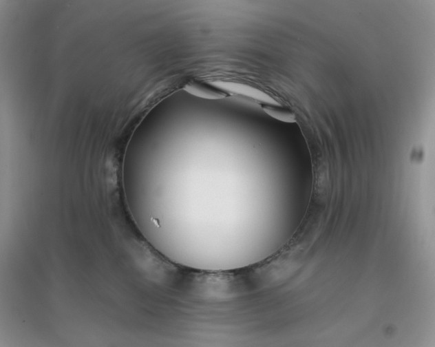 X0000096380282200802071520