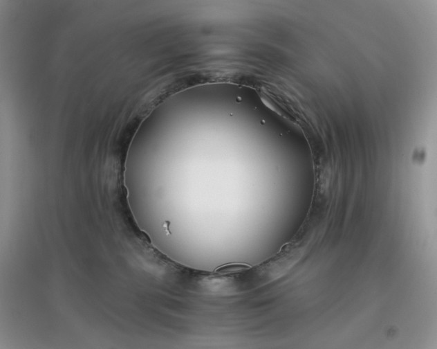 X0000096380283200802071520