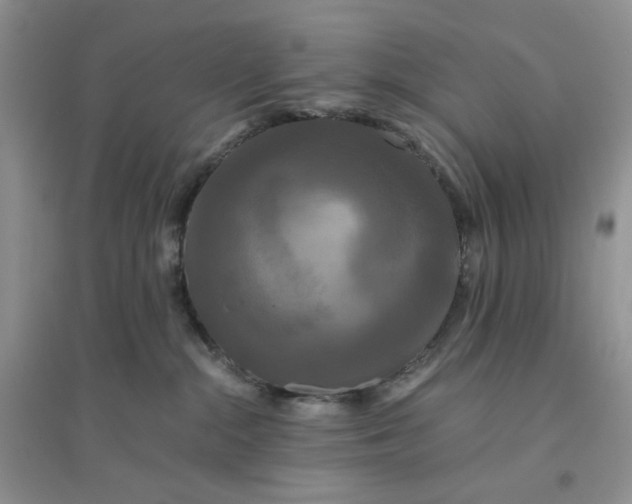 X0000096380284200802071520