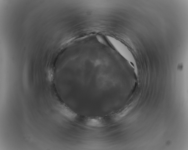 X0000096380285200802071520