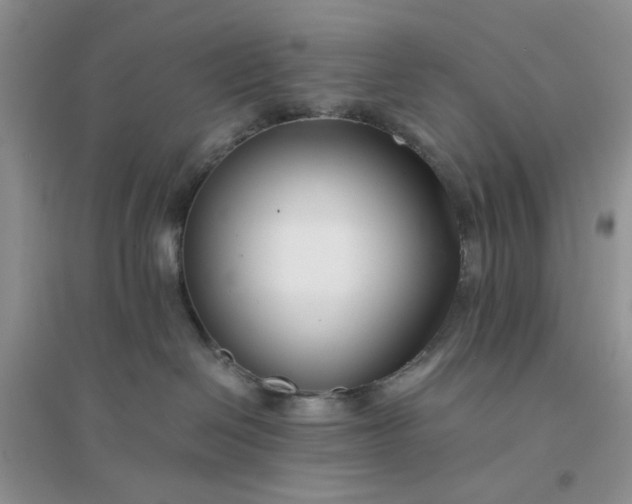 X0000096380286200802071520