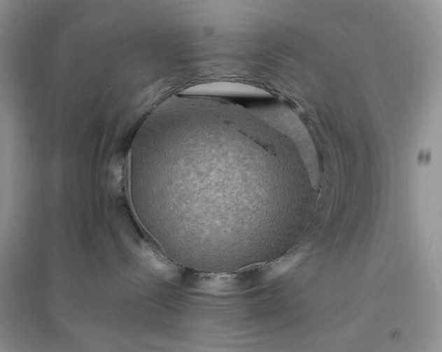 X0000096380288200802071520