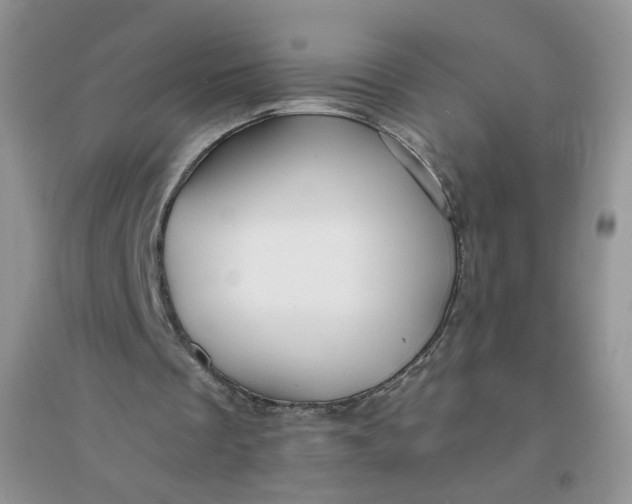 X0000096380289200802071519