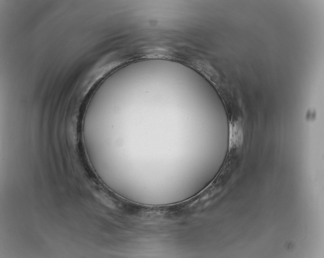 X0000096380291200802071519