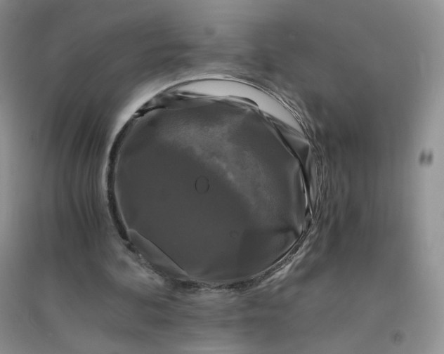 X0000096380292200802071519