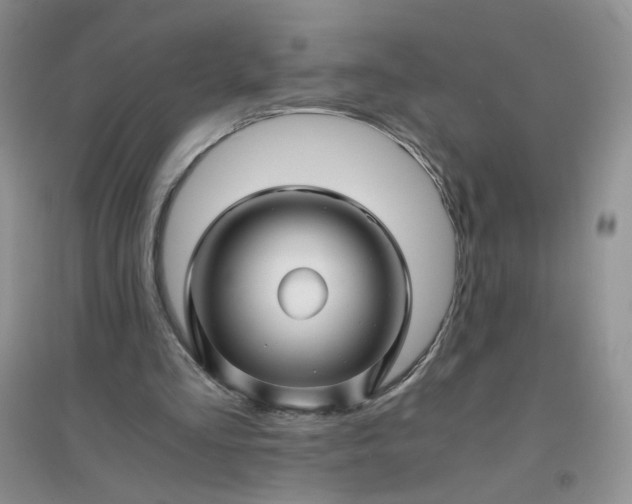 X0000096380293200802071519