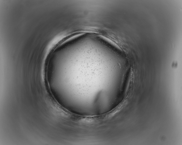 X0000096380294200802071519