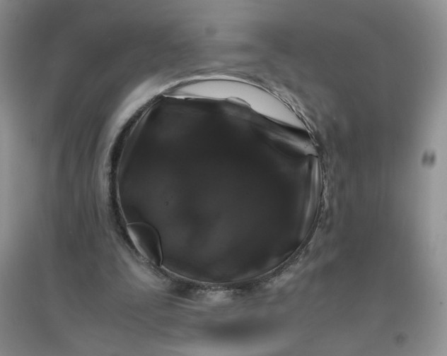 X0000096380295200802071519