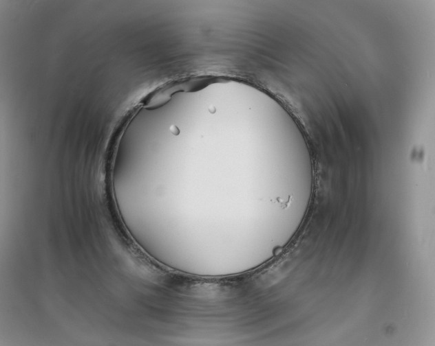 X0000096380298200802071519