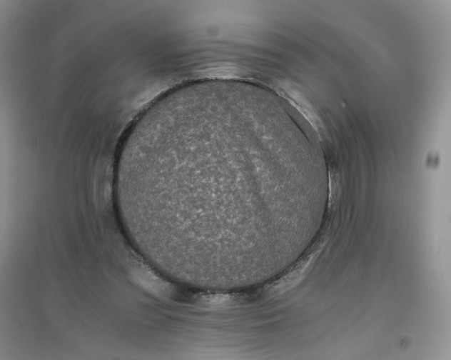 X0000096380301200802071519