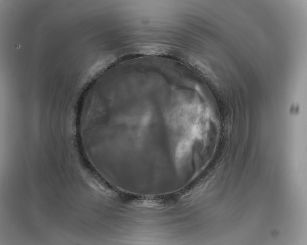 X0000096380303200802071519