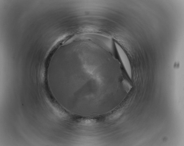 X0000096380304200802071519