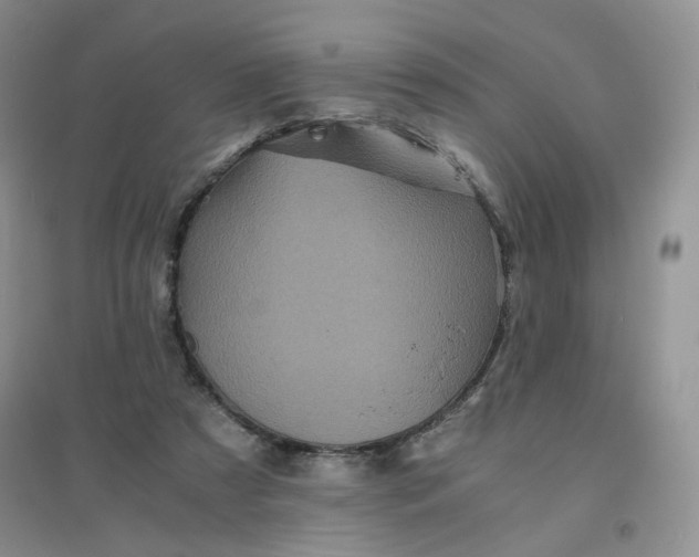 X0000096380305200802071519