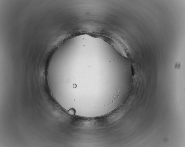 X0000096380306200802071519