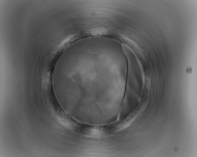 X0000096380308200802071519