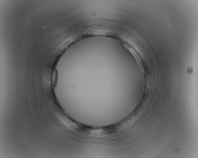 X0000096380309200802071519