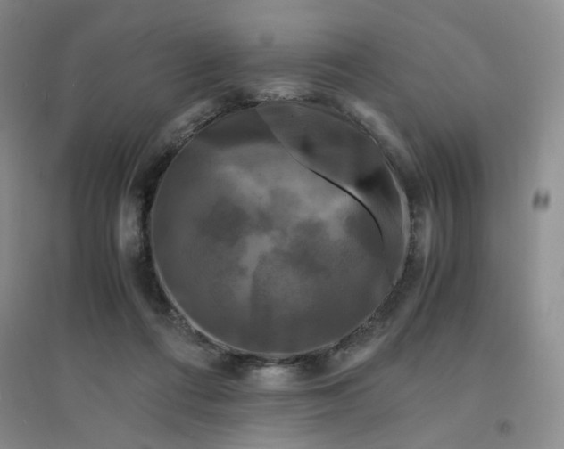 X0000096380312200802071519