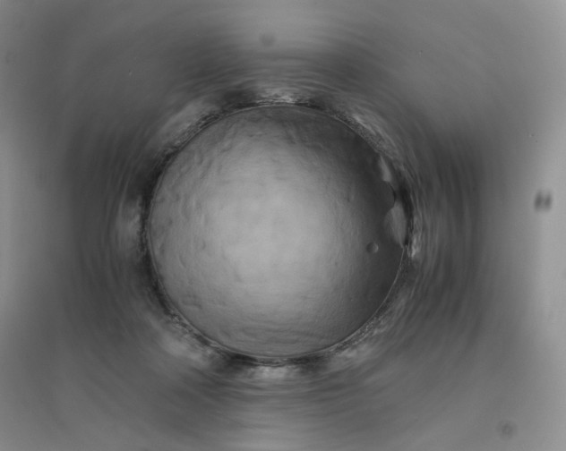 X0000096380314200802071519