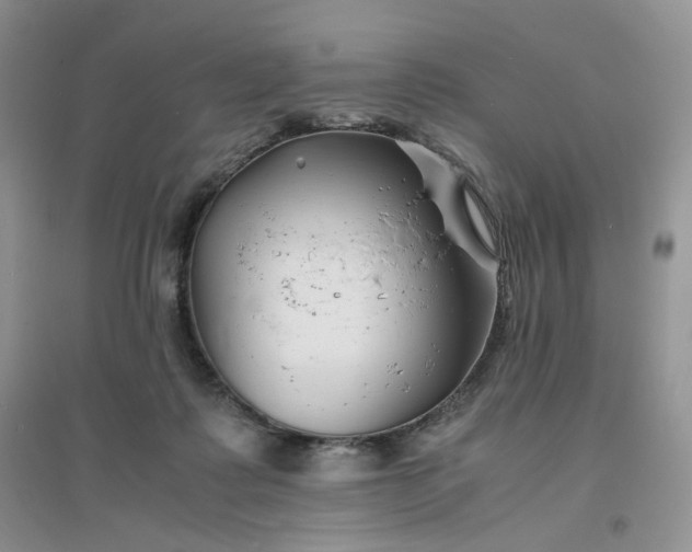 X0000096380315200802071519