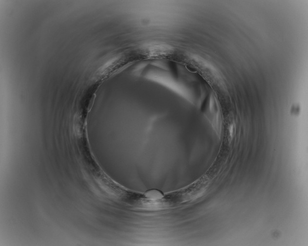 X0000096380316200802071519