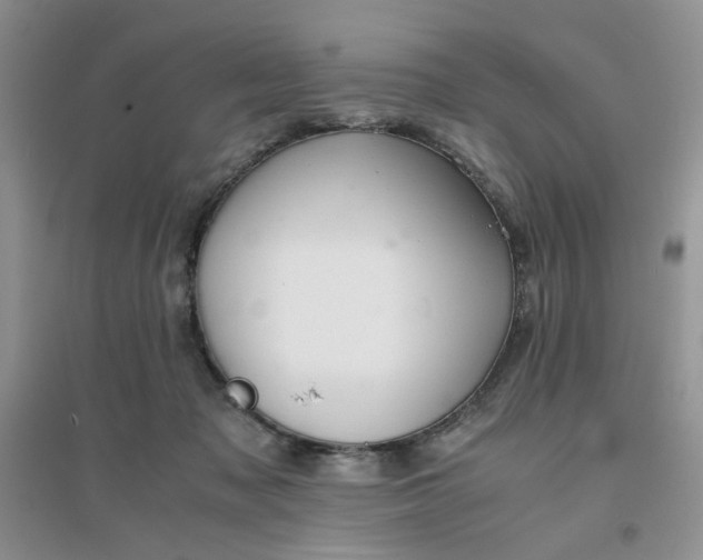 X0000096380317200802071519