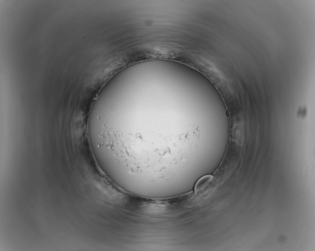 X0000096380318200802071519