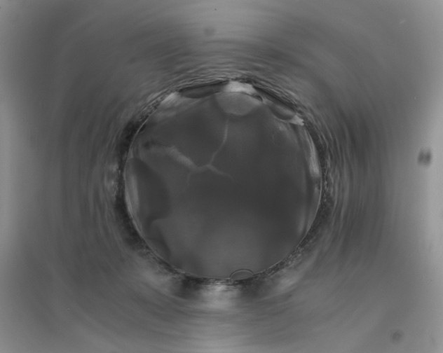 X0000096380319200802071519