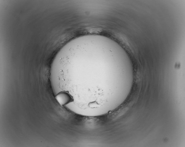 X0000096380321200802071519