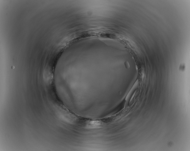 X0000096380324200802071519