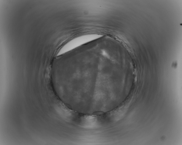 X0000096380325200802071519