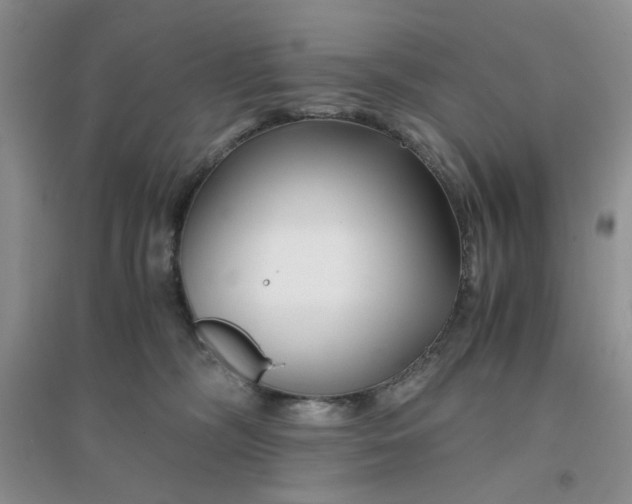 X0000096380326200802071519