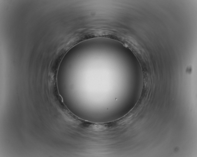 X0000096380327200802071519