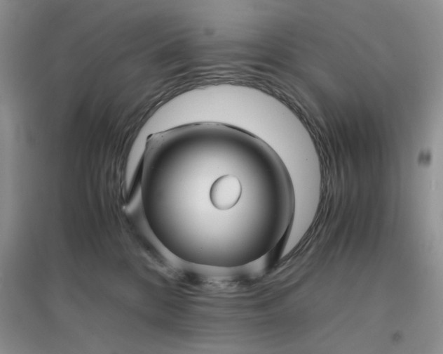 X0000096380328200802071519