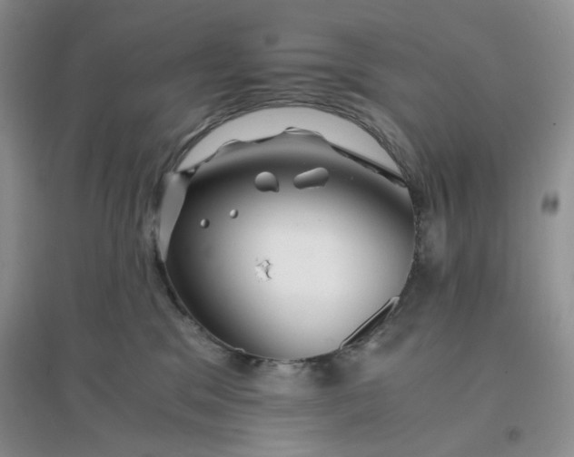 X0000096380329200802071519