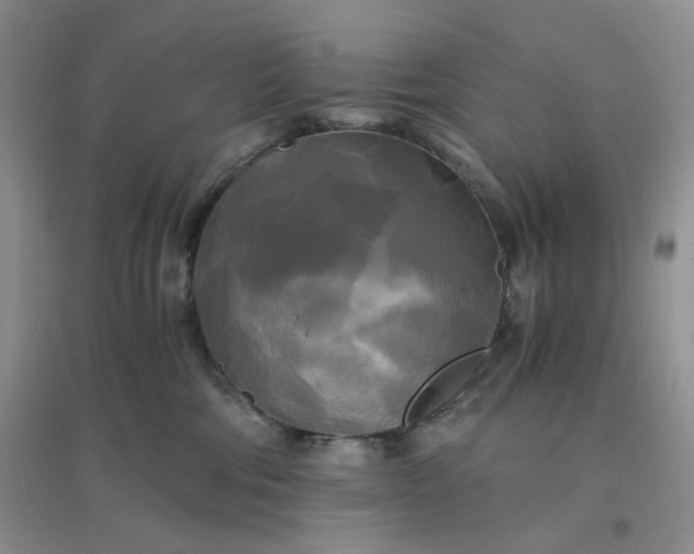 X0000096380330200802071519