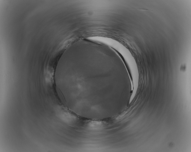 X0000096380332200802071519