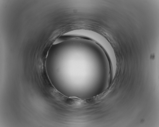 X0000096380333200802071519