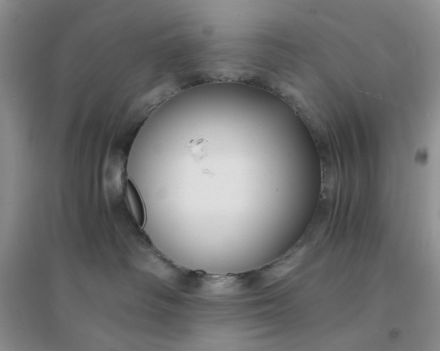 X0000096380334200802071519