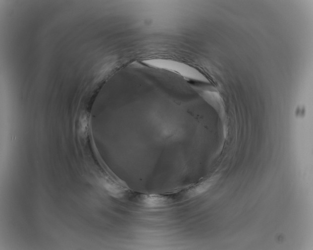 X0000096380336200802071519