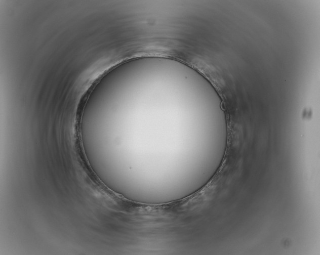 X0000096380338200802071518