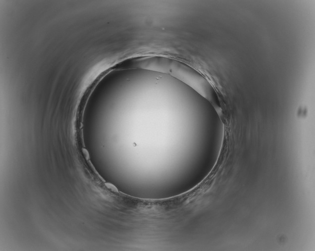 X0000096380340200802071518