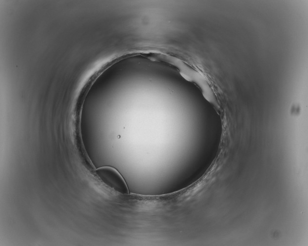 X0000096380342200802071518