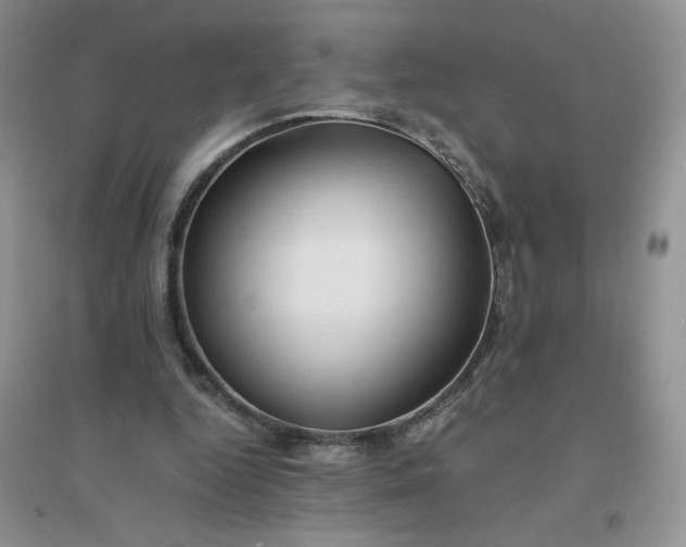 X0000096380344200802071518