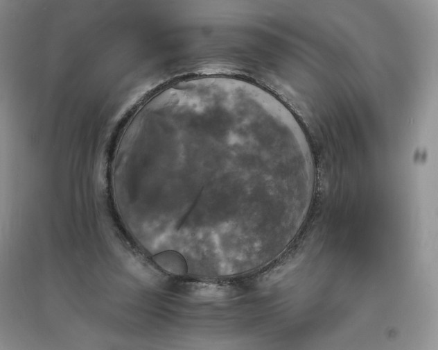 X0000096380347200802071518