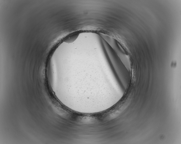 X0000096380348200802071518