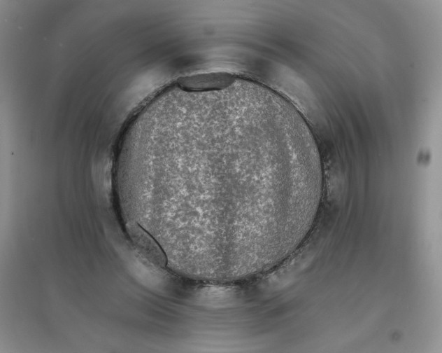 X0000096380350200802071518