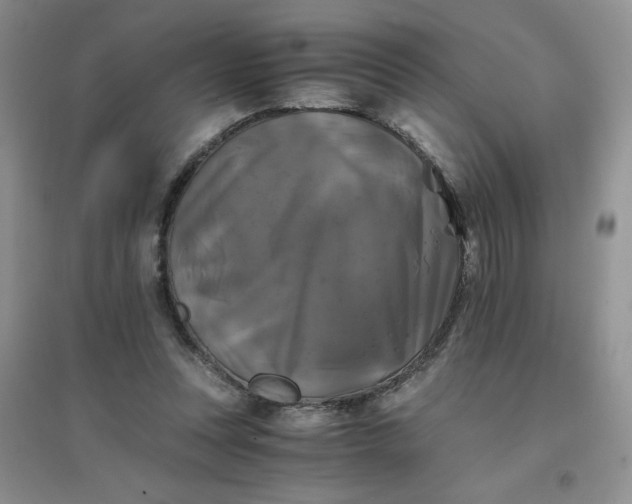 X0000096380351200802071518